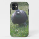 Search for pigeon iphone cases Nature