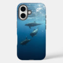Search for dolphin cases Sea