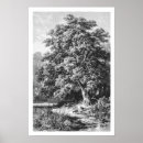 Search for oak tree posters Landscape