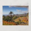 Search for funchal postcards Landscape