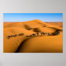 Search for camel desert art Dunes