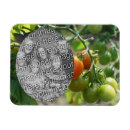 Search for tomatoes magnets Gardening