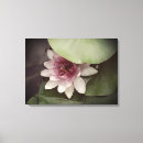 Search for lillies art Floral