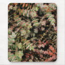 Search for pagoda mousepads Nature