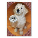 Search for labradoodle cards Funny