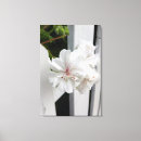 Search for white canvas prints Bright