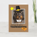 Search for funny dog thanksgiving cards Animal