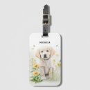Search for pet travel accessories Modern