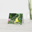 Search for hummingbird cards Photography