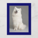 Search for eskies postcards Puppies