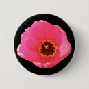 Search for tulip photos badges Floral
