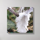 Search for frozen canvas prints Green