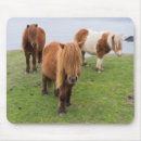 Search for furry mousepads Brown