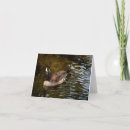 Search for canadian wildlife cards Waterfowl