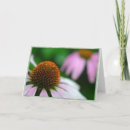 Search for medicine cards Flowers