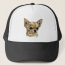 Search for toy hats Canine