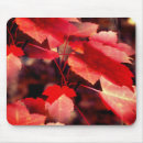 Search for red fall leaves mousepads Tree