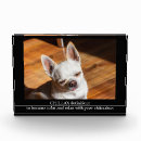 Search for dog photo display Cool
