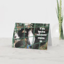 Search for funny goat sayings postcards Co worker