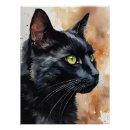 Search for green eyes posters Crazy cat lady