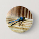 Search for dragonfly badges Animals