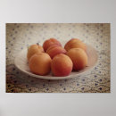 Search for apricot art Fruit