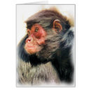 Search for monkey face cards Monkeys