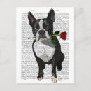 Search for boston postcards Cute boston terriers