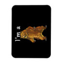 Search for grizzly bears magnets Forest