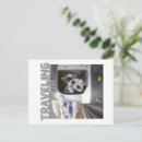 Search for mini schnauzer postcards Grey