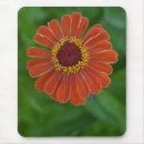 Search for orange blossom mousepads Flower