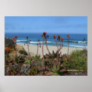 Search for half moon bay posters Photography