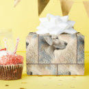 Search for golden retriever wrapping paper Pet
