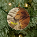 Search for happy christmas tree decorations Puppy