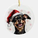 Search for mini christmas tree decorations Dog