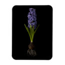 Search for spring bulbs magnets Purple