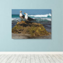 Search for bird pictures canvas prints Ocean