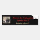 Search for endangered animals bumper stickers Wolf