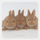 Search for dwarf stickers Looking at camera
