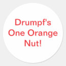 Search for nut stickers Orange