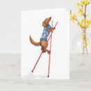 Search for dachshund cards Cute