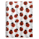 Search for ladybird notebooks Red
