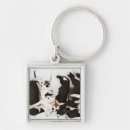 Search for great dane puppy key rings Animal