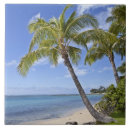 Search for hawaii tiles Palm tree