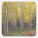 Search for aspen leaves stickers Autumn