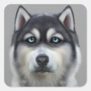 Search for malamute stickers Cute