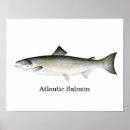 Search for salmon fish posters Fishing