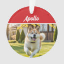 Search for akita christmas tree decorations Dogs