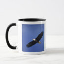 Search for bald eagle mugs Flying