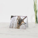 Search for cat cards Tree